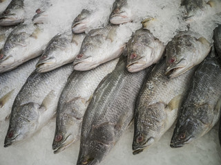 Fresh fish in the market