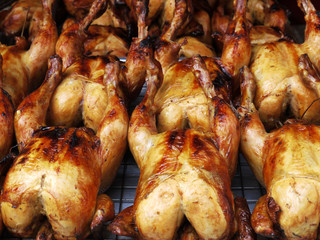 grilled Chicken
