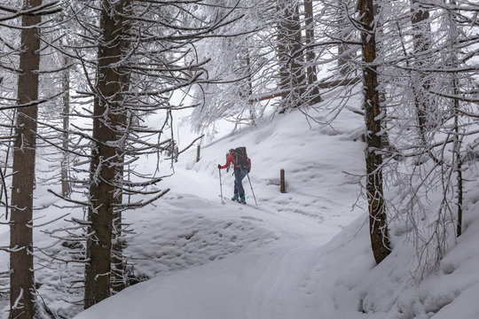 Tourengeher mit Ski im Winter durch den Wald
