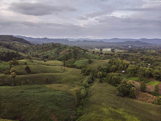 Fototapeta premium Rural landscape, Field of corn ready for harvest in the background the mountains