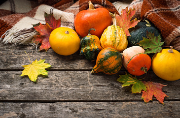 Assortment of decorative colorful pumpkins