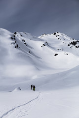 Gruppe Skitourengeher in den Alpen
