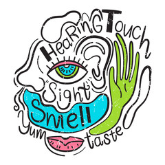 Vector illustration of the 5 human senses. Sight, taste, hearing, smell, touch. Hand drawn style - 225299417
