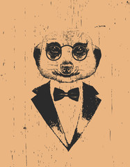 Portrait of Meerkat in suit, hand-drawn illustration, vector