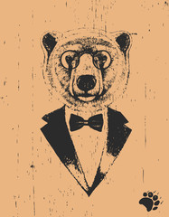 Portrait of Polar Bear in suit, hand-drawn illustration, vector
