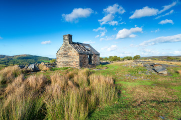 Ruined Cottage at Rhos Quarry