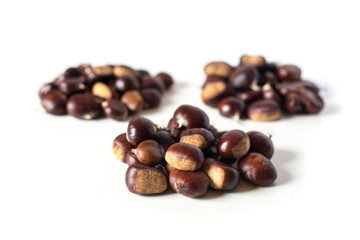 pile of chestnuts isolated