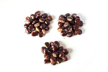 pile of chestnuts isolated