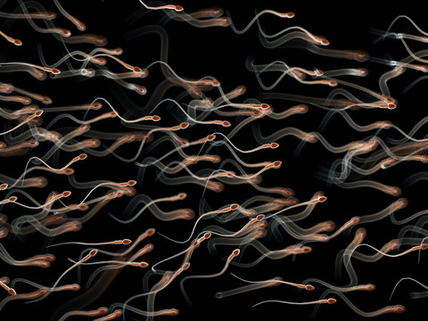 3d rendered medically accurate illustration of human sperm