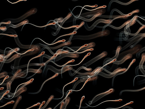 3d rendered medically accurate illustration of human sperm