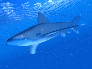Obraz premium 3d rendered illustration of a white tip shark