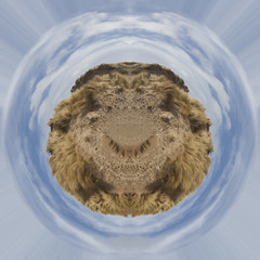 kaleidoscope rorschach