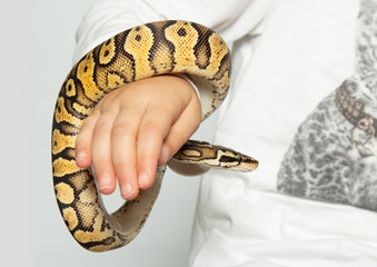 Python