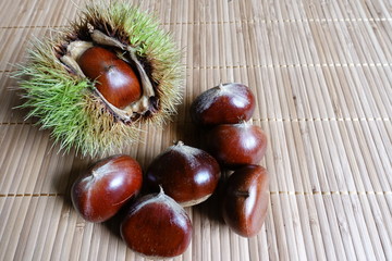 栗