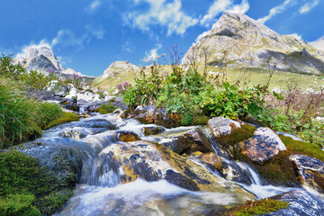 Water of a torrent flowing on stones into the mountain