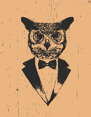 Portrait of Owl in suit, hand-drawn illustration, vector