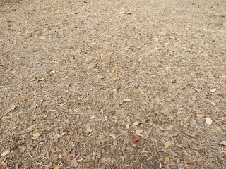 Autumn dry leaves on the ground