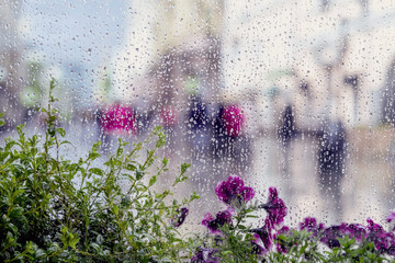 Rain drops on wet window and street purple flowers behind, blurred people, city light bokeh. Concept of rainy weather, seasons, modern city. Abstract background