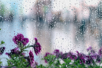 Rain drops on wet window and street purple flowers behind, blurred city bokeh. Concept of rainy...