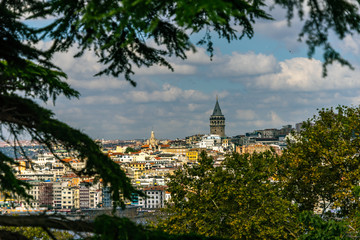 Obraz premium View through trees and bushes to the district Galata with the Galata Tower in Istanbul in Turkey.