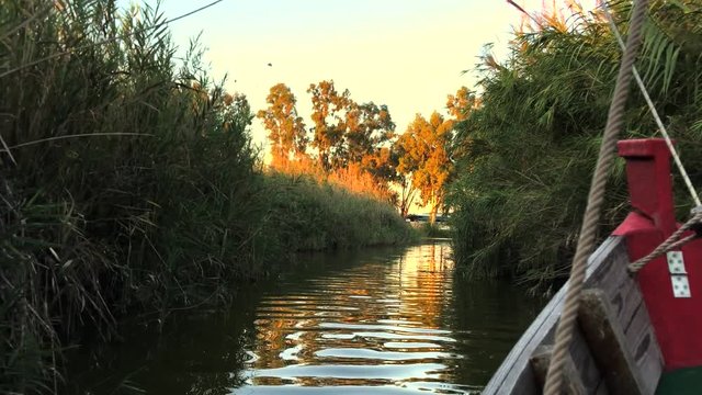 Sailing at sunset in the lagoon "La Albufera", in Valencia, Spain