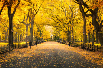Herbst im Central Park in New York City, USA - obrazy, fototapety, plakaty