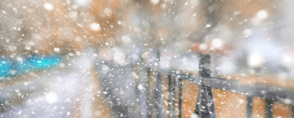 Background autumn park in the first snow