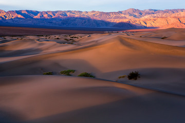 Sunrise in Mesquite flat dunes, Death Valley National Park, California, USA.