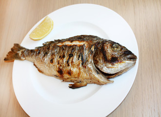 Dorada fish grilled	