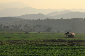 iew of a rural farm with small hut