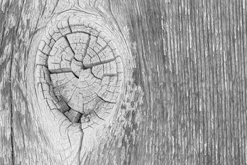 close up of wall made of wooden planks use as background and texture