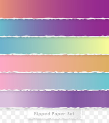 Ripped paper design element.