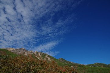 Naklejka premium 御嶽山紅葉 八合目から