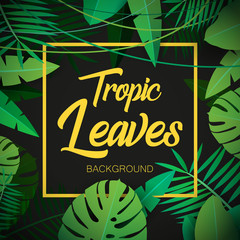 tropic leaves background