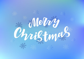 Fototapeta na wymiar Hand drawn lettering phrase Merry Christmas