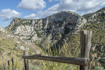 Fototapeta na wymiar Avola (SR) - Sicilia (ITALY) | Panoramic view of 