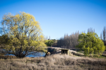 Obraz premium autumn landscape with trees and blue sky