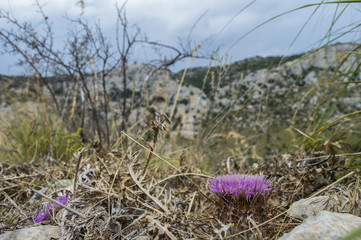 Avola (SR) - Sicilia (ITALY) | Panoramic view of 