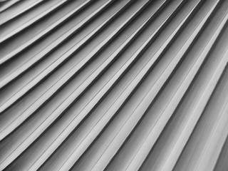 Obraz premium gray palm leaf with shadow pattern