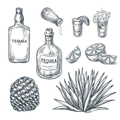 Foto op Plexiglas Tequila bottle, shot glass and ingredients, vector sketch. Mexican alcohol drinks. Agave plant and root. © Qualit Design