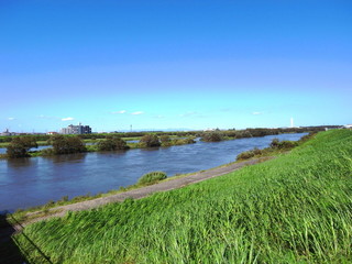 秋の江戸川風景