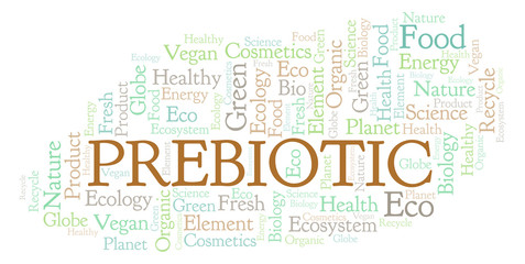Obraz premium Prebiotic word cloud.