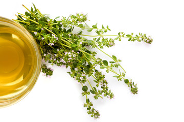 Wild thyme herb and tea.
