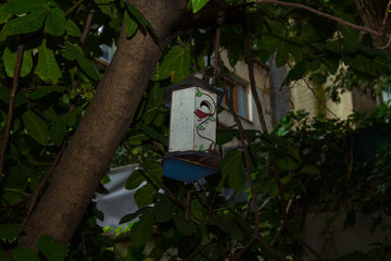 birdhouse on a tree 