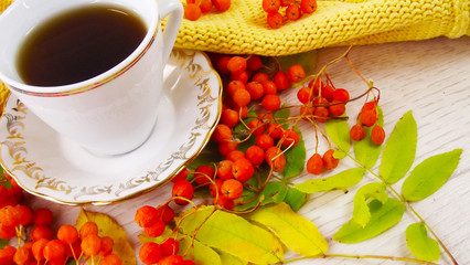Useful and tasty red mountain ash.Drink from the mountain ash and yellow scarf.