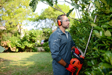 handsome young man gardener trimming hedgerow in a garden park outdoor