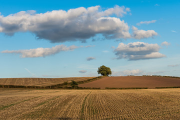 Big clouds in the blue sky over the fields