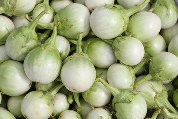 Thai spices fresh eggplant background.