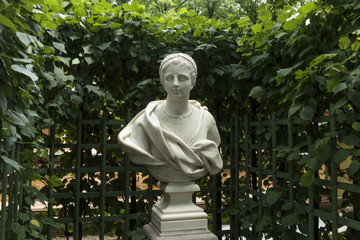Statue of the Summer Garden "Roman Senator Marcellus Mark Claudius". Copy. Old Public park "Summer Garden" in St. Petersburg, Russia