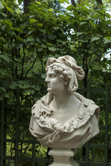 Fototapeta premium Statue of the Summer Garden 